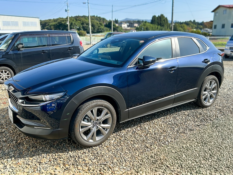 IMG_4201 CX-30